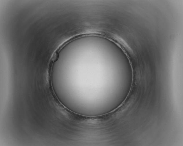 X0000111681268200907171457