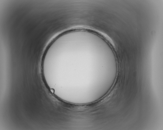 X0000111681279200907171457