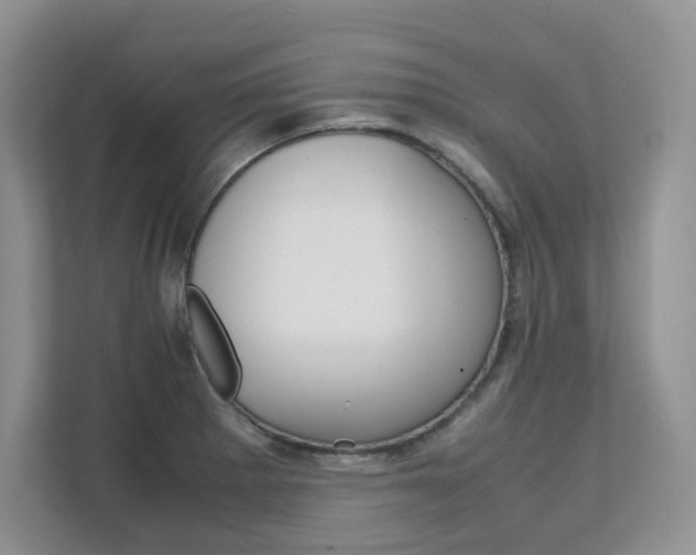 X0000111681281200907171457