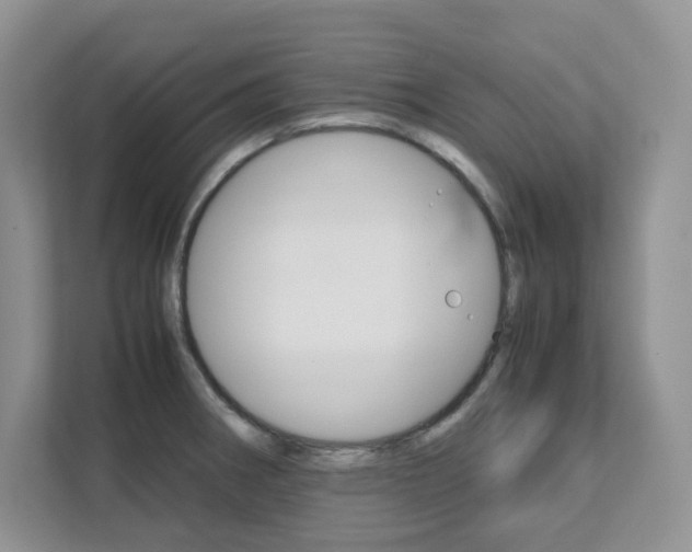 X0000111681282200907171457