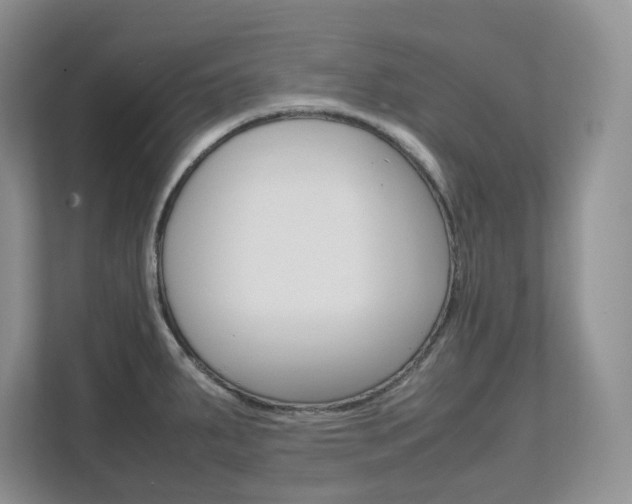 X0000111681287200907171457