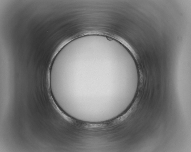 X0000111681290200907171457