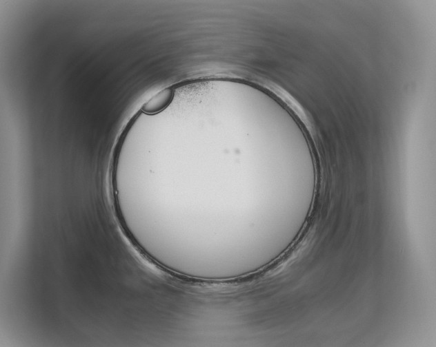 X0000111681293200907171457