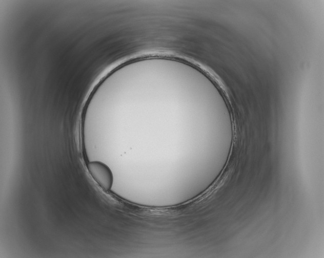 X0000111681295200907171457