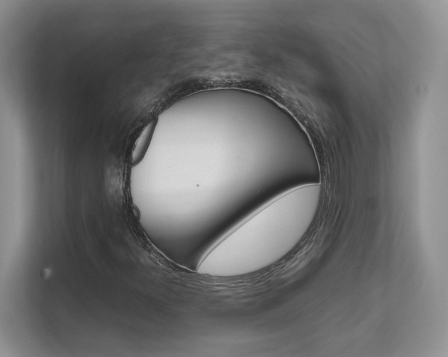 X0000111681300200907171456
