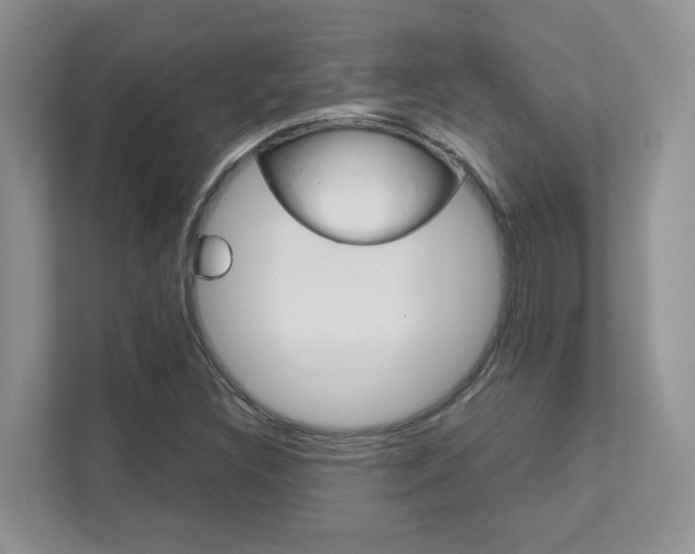 X0000111681308200907171456