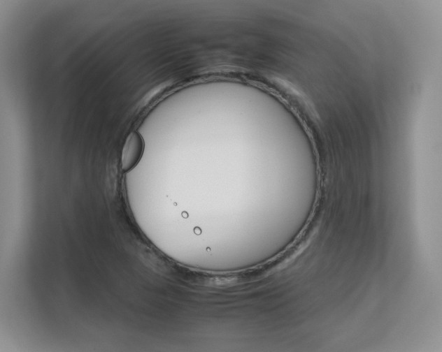 X0000111681313200907171456