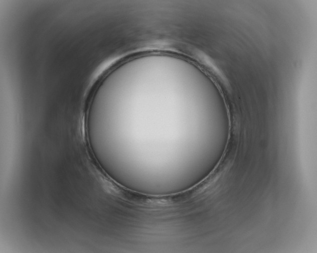 X0000111681320200907171456