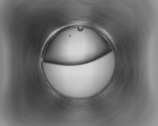 X0000111681324200907171457