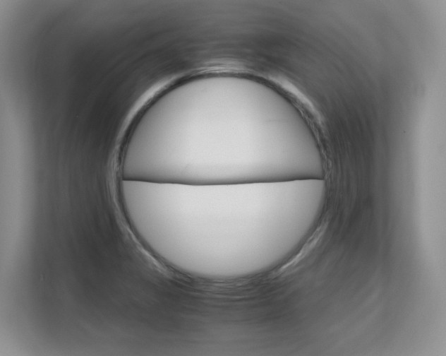 X0000111681325200907171457