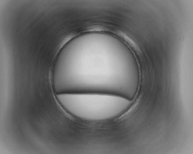 X0000111681329200907171457