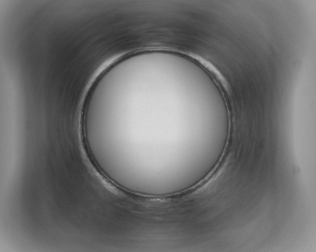 X0000111681333200907171457