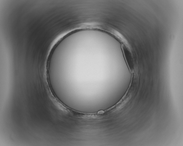 X0000111681336200907171457