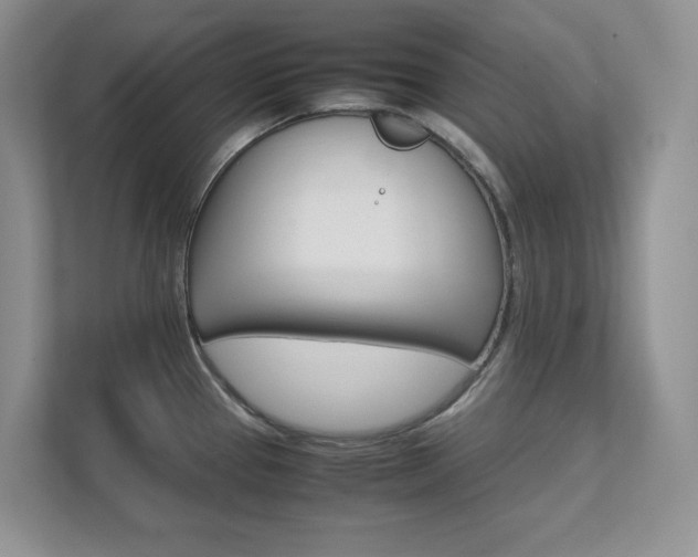 X0000111681337200907171457