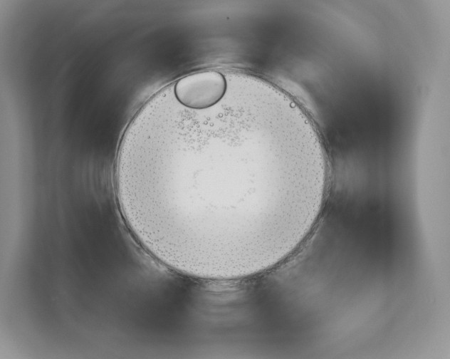 X0000111681338200907171457