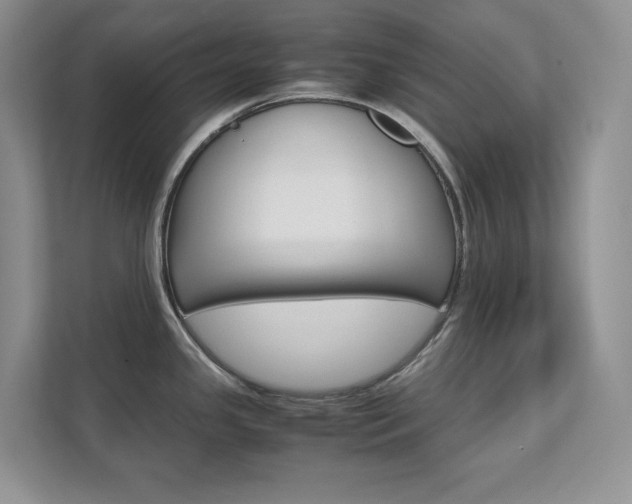 X0000111681341200907171457