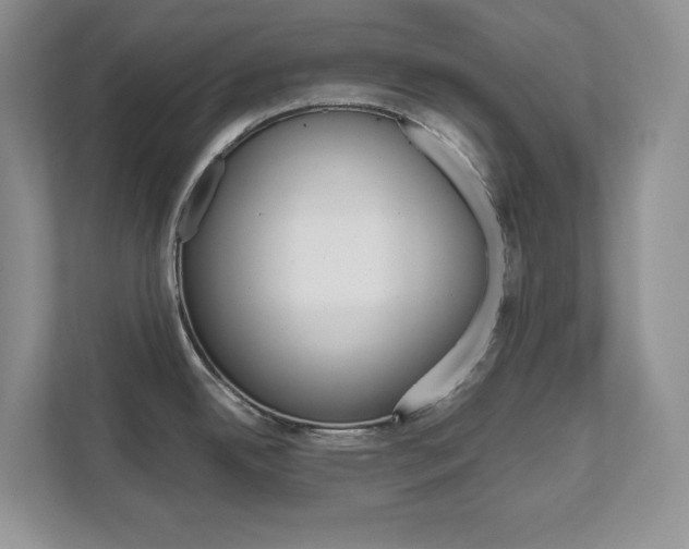 X0000111681342200907171457