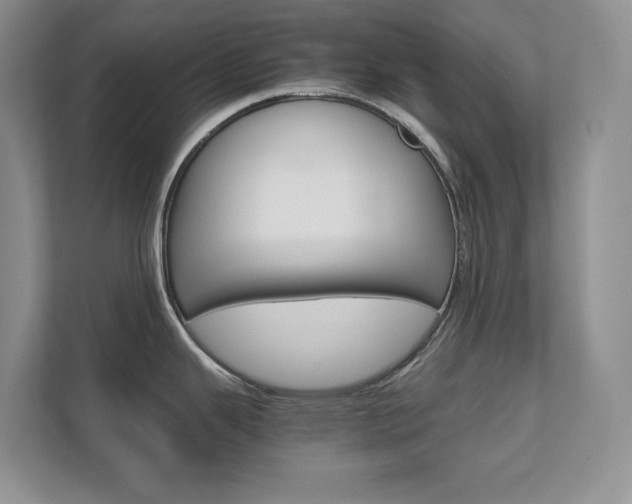 X0000111681343200907171457