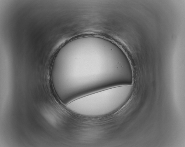 X0000111681355200907171456