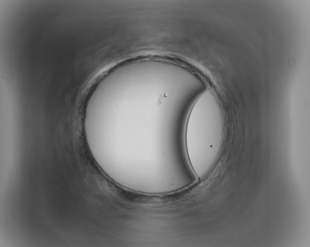 X0000111681359200907171456