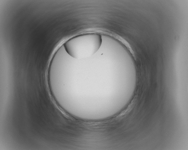 X0000111681373200907171456