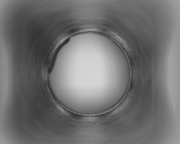 X0000111681377200907171456