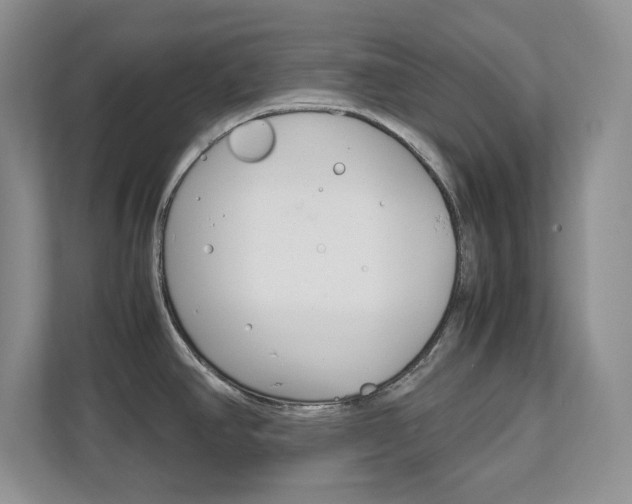 X0000111681390200907171456