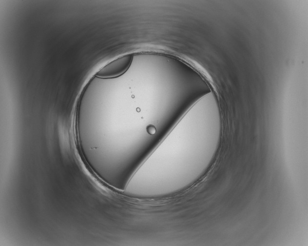X0000111681391200907171456