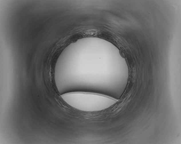 X0000111681394200907171455