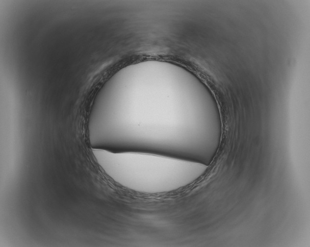 X0000111681398200907171455
