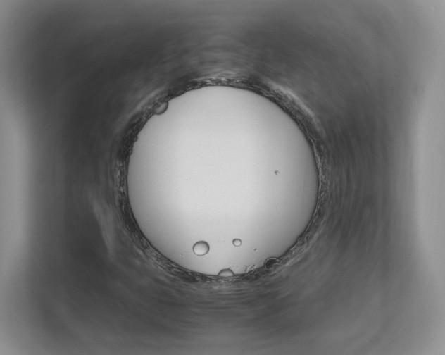 X0000111681399200907171455