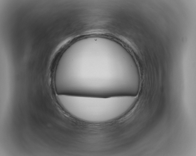 X0000111681406200907171455