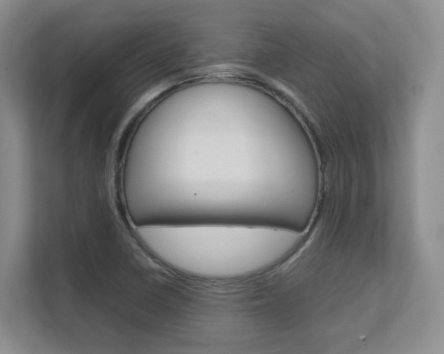 X0000111681410200907171455