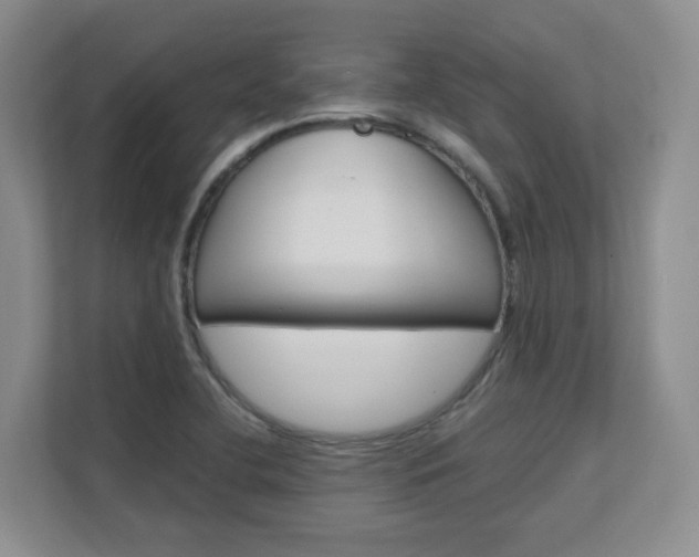 X0000111681412200907171455