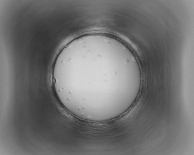 X0000111681413200907171455