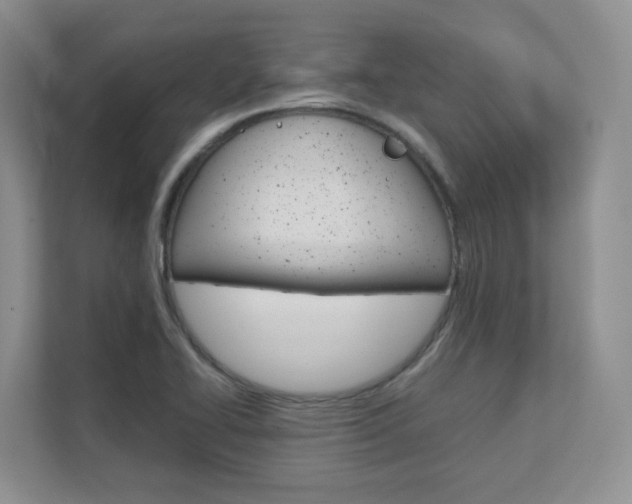X0000111681414200907171455