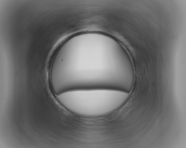 X0000111681416200907171455