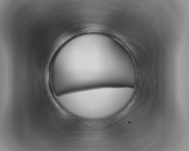 X0000111681418200907171455