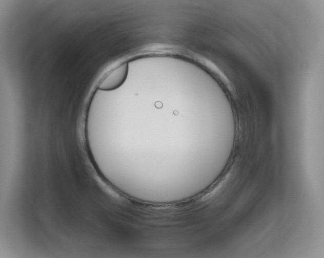 X0000111681421200907171455