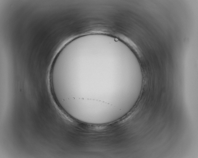 X0000111681423200907171455