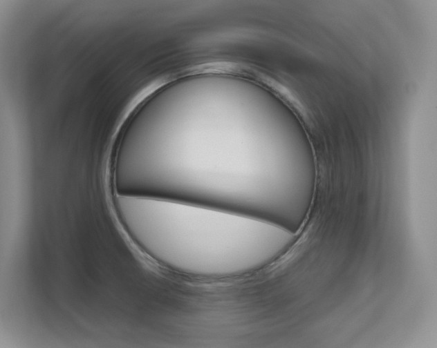 X0000111681426200907171455