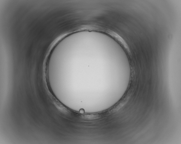 X0000111681427200907171455
