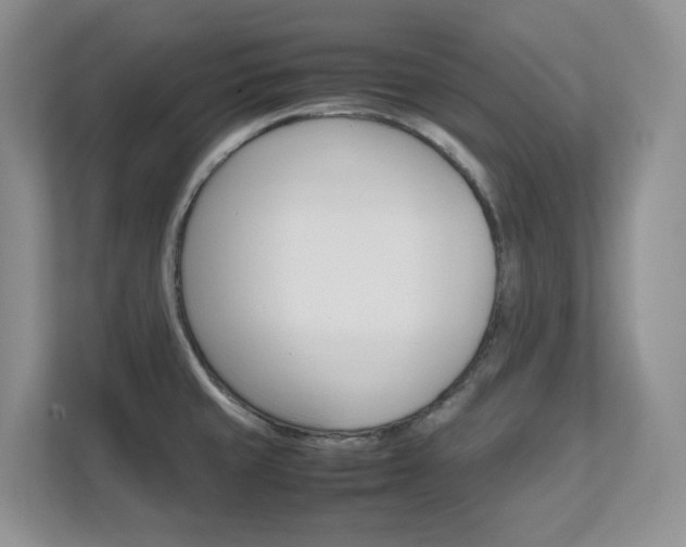 X0000111681429200907171455