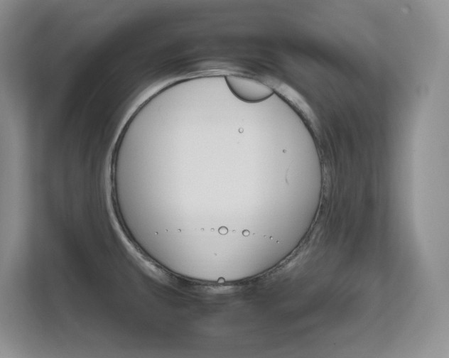 X0000111681431200907171455