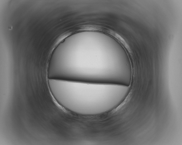 X0000111681433200907171455