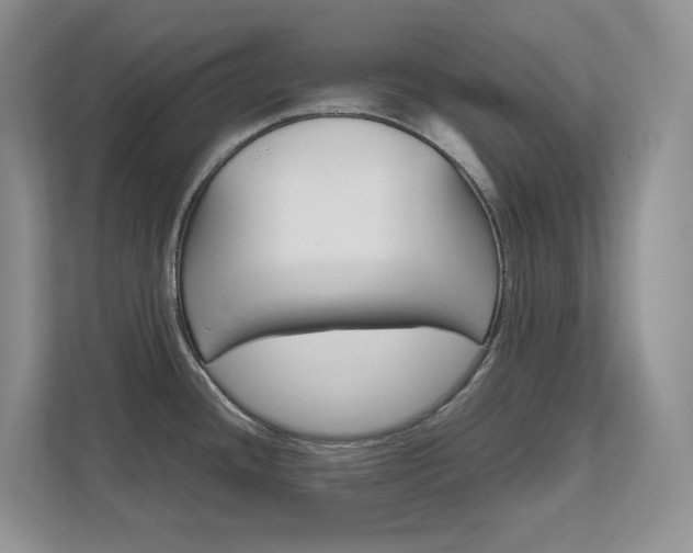 X0000111681436200907171456