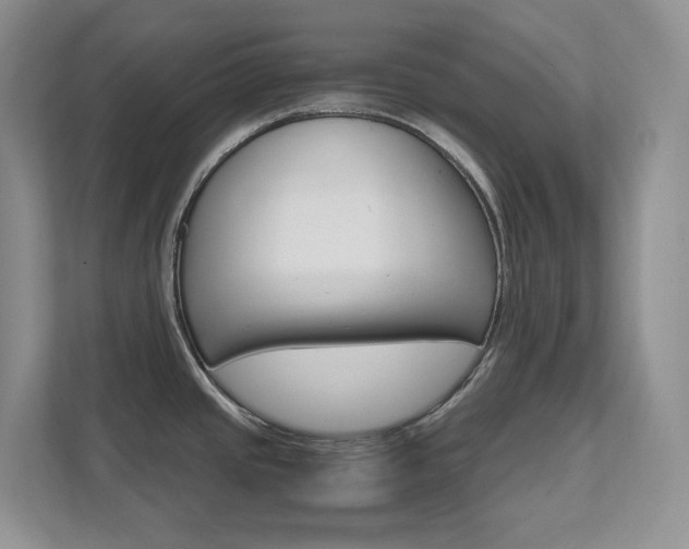 X0000111681437200907171456