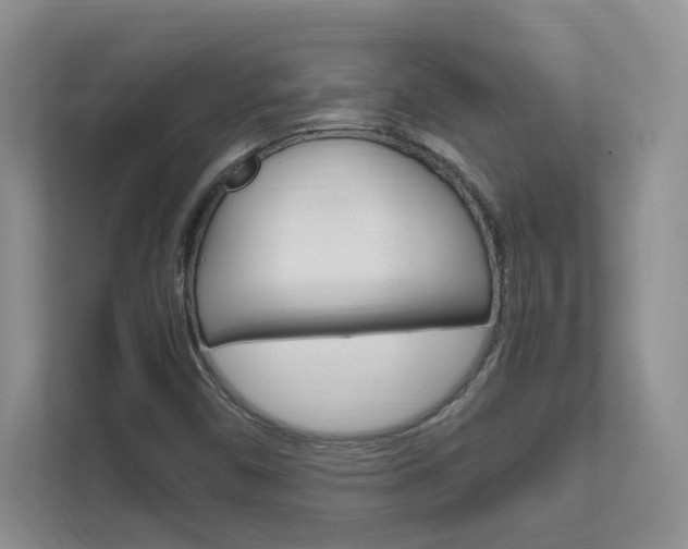 X0000111681450200907171455