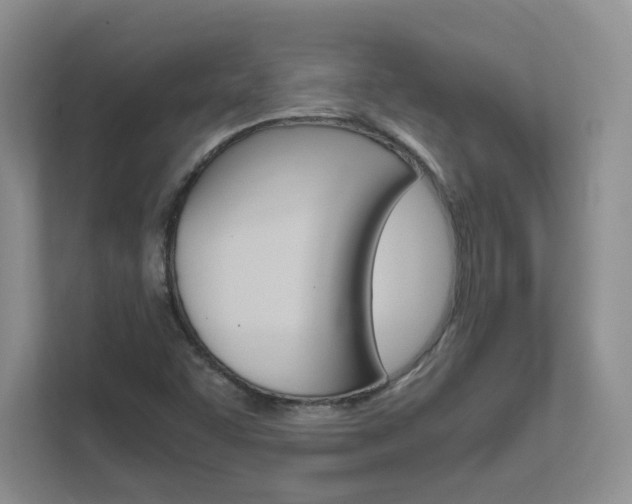 X0000111681455200907171455