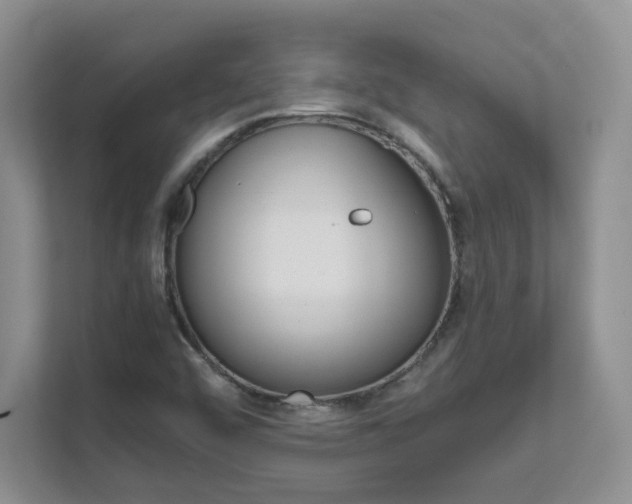 X0000111681456200907171455